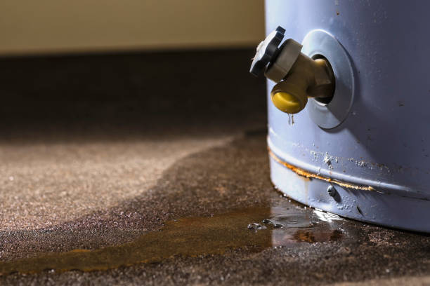 Best Ceiling water damage repair  in Northwest Harwich, MA