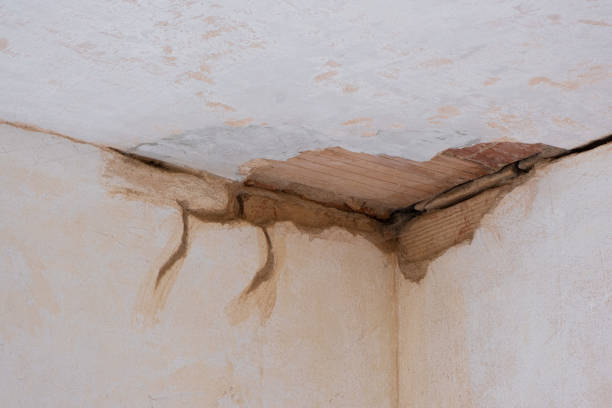 Best Water damage restoration company  in Northwest Harwich, MA
