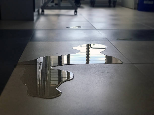 Best Water damage restoration insurance claims  in Northwest Harwich, MA