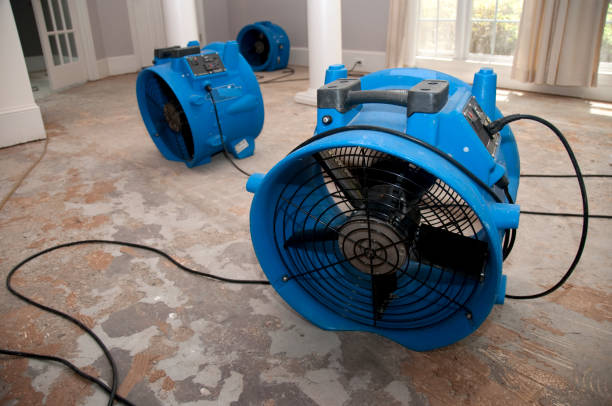 Best Flood restoration services  in Northwest Harwich, MA